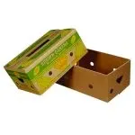 Sustainable packaging practices