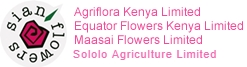 sianflowerslogo1