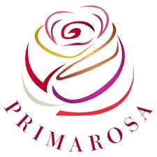 WhatsApp Image 2025-01-22 at 1.13.12 PM (1)