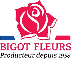 WhatsApp Image 2025-01-22 at 1.13.21 PM (1)