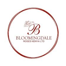 WhatsApp Image 2025-01-22 at 1.13.24 PM